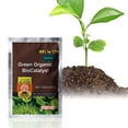 thumbnail image 1 of Fertilizante nutricional Biocatalizador Verde para el Cultivo de Plantas Verdes y Saludables (100 g) Biocatalizadores orgánicos, 1 of 9