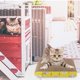 thumbnail image 5 of Rascador para mascotas con Catinp Cat-Scratcher Cartón Lounge-Bed Scratcher Pad, 5 of 8