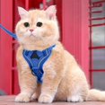 thumbnail image 2 of Dog Harness Vest Reflective Vest Style Harness and Leash Escape Proof Breathable Pet Chest Vest Walking Leash for & Small Medium Dogs Adjustable Pet Harness Walking Control Vest Pet Gear, 2 of 8