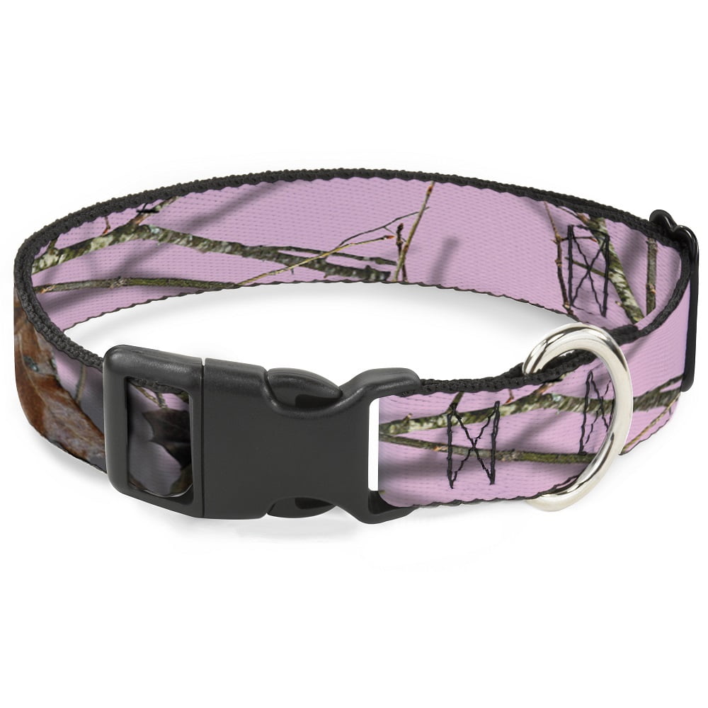 roots dog collar