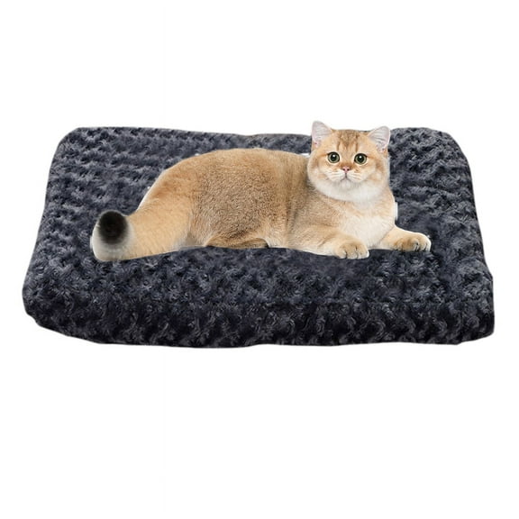 Cat Beds for Indoor Cats Clearance, Small Cat Bed Washable, Small Dog Bed Puppy Bed for Small Dogs - Anti-Slip Cat Sleeping Mat 17 Inches (Black)