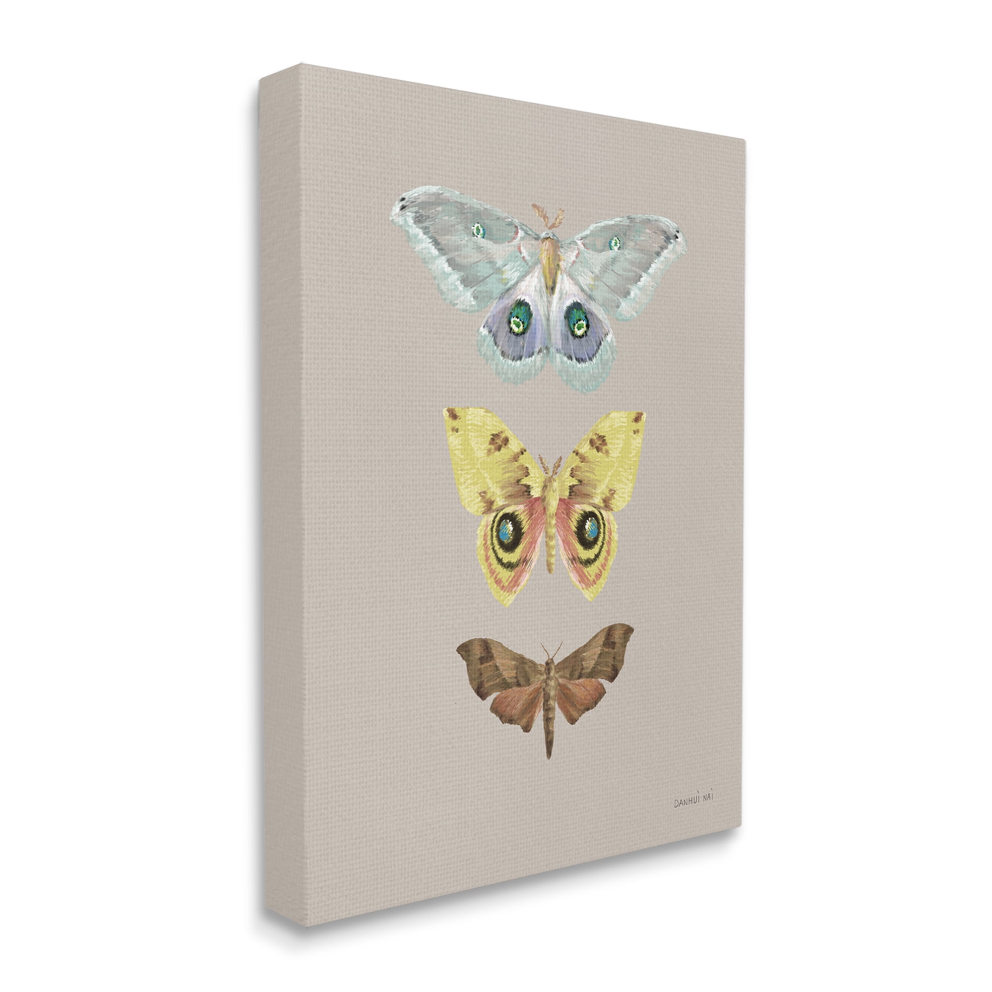 Stupell Industries Vintage Moth Species Animals & Insects Painting Gallery Wrapped Canvas Print Wall Art, 30 x 40