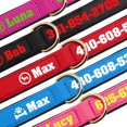 thumbnail image 5 of Pet Artist Personalized Nylon Dog Collar Custom Pet Name/Number Waterproof Soft Neoprene Padded Comfortable, 5 of 11