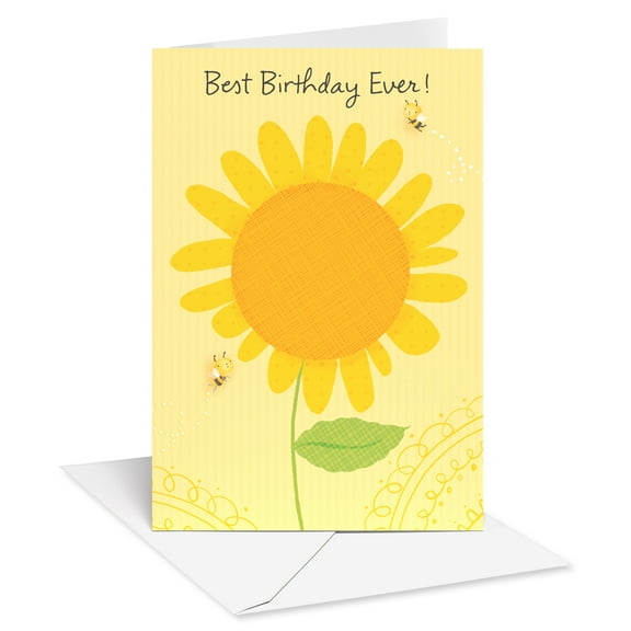 American Greetings Birthday Card for Her (Best Birthday Ever)