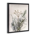 thumbnail image 3 of Stupell Industries Bohemian Pine Needles Impression Black Floating Frame Canvas Art, 17 x 21, by Pernille Folcarelli, 3 of 8
