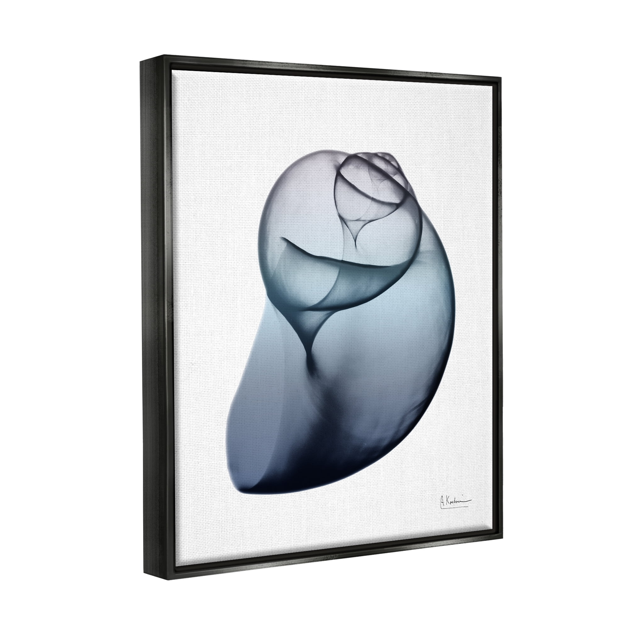 Stupell Industries Contemporary Snail Shell Abstract Photography Black Floater Framed Art Print Wall Art, 25 x 31
