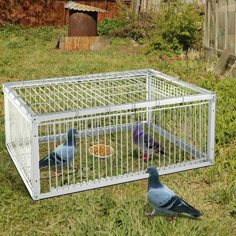Pigeon Trap with Escape-Proof, Bird Trap Cage with One-Way Entry, Portable  Unharmful, Iron with Anti-Rust Paint,off-white