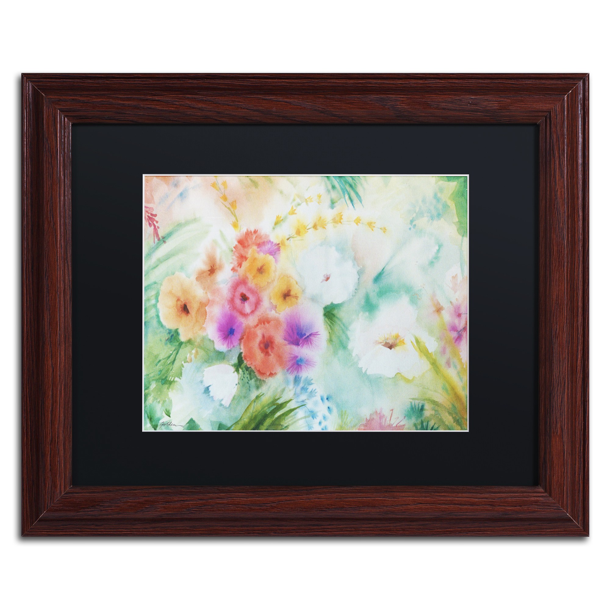 Trademark Fine Art "Napa Garden" Canvas Art by Sheila Golden Black Matte, Wood Frame