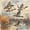 Light Brown, variant on Manfei Wild Duck Print Full Size Comforter Sets,Farmhouse Mallard Bedding Comforter Set,Light Gray Reversible,3-Piece,1 Comforter and 2 Pillowcases