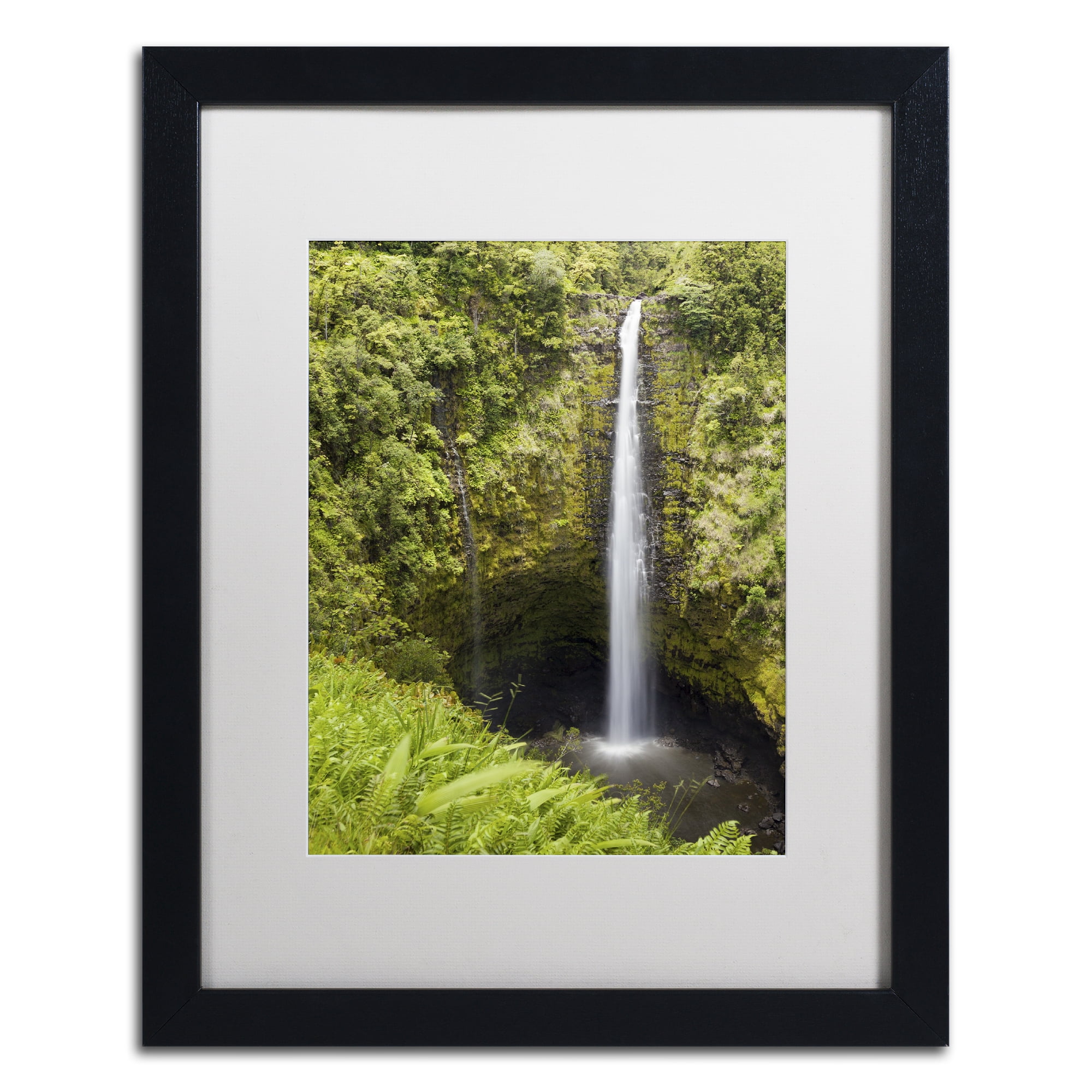 Chris Moyer 'Akaka Falls' Matted Framed Art
