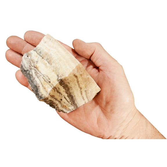 Kidz Rocks Travertine 3 1/2" 1-1 1/2 lb Tan Raw Chakra Healing Stone Rock Mineral