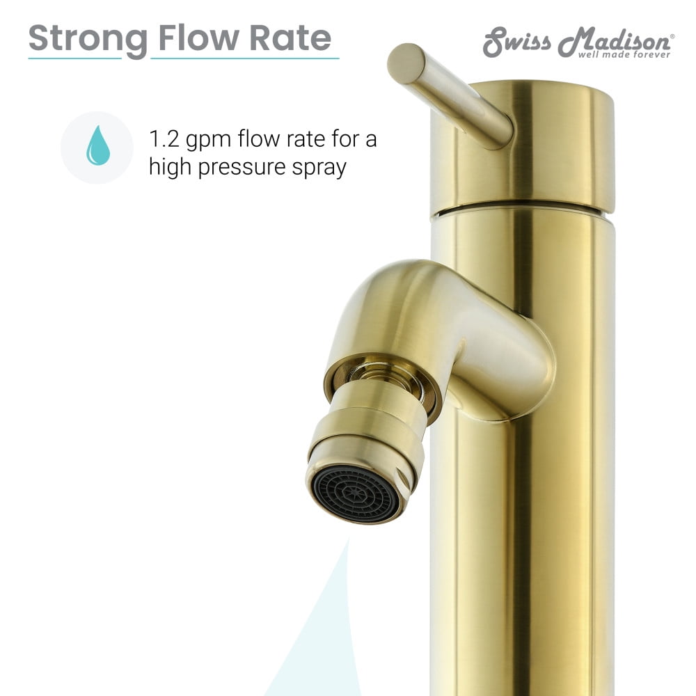 Ivy Bidet Faucet in Brushed Gold