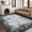 Gray Black, variant on GlowSol 5'x7' Area Rug Washable Contemporary Abstract Rug Soft Non-Slip Low Pile Foldable Rugs for Dining Room Home Office, Brown