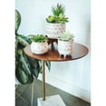 thumbnail image 5 of Flora Bunda CS1919E-BLK FAUX SUCCULENTS IN GOLD HANDPIANT 5' CERAMIC FOOTED STAND, 5 of 5