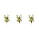 thumbnail image 1 of Ramos de rosas falsas Matsuzay Vintage para centros de Cocina Blanco Verde, 1 of 6