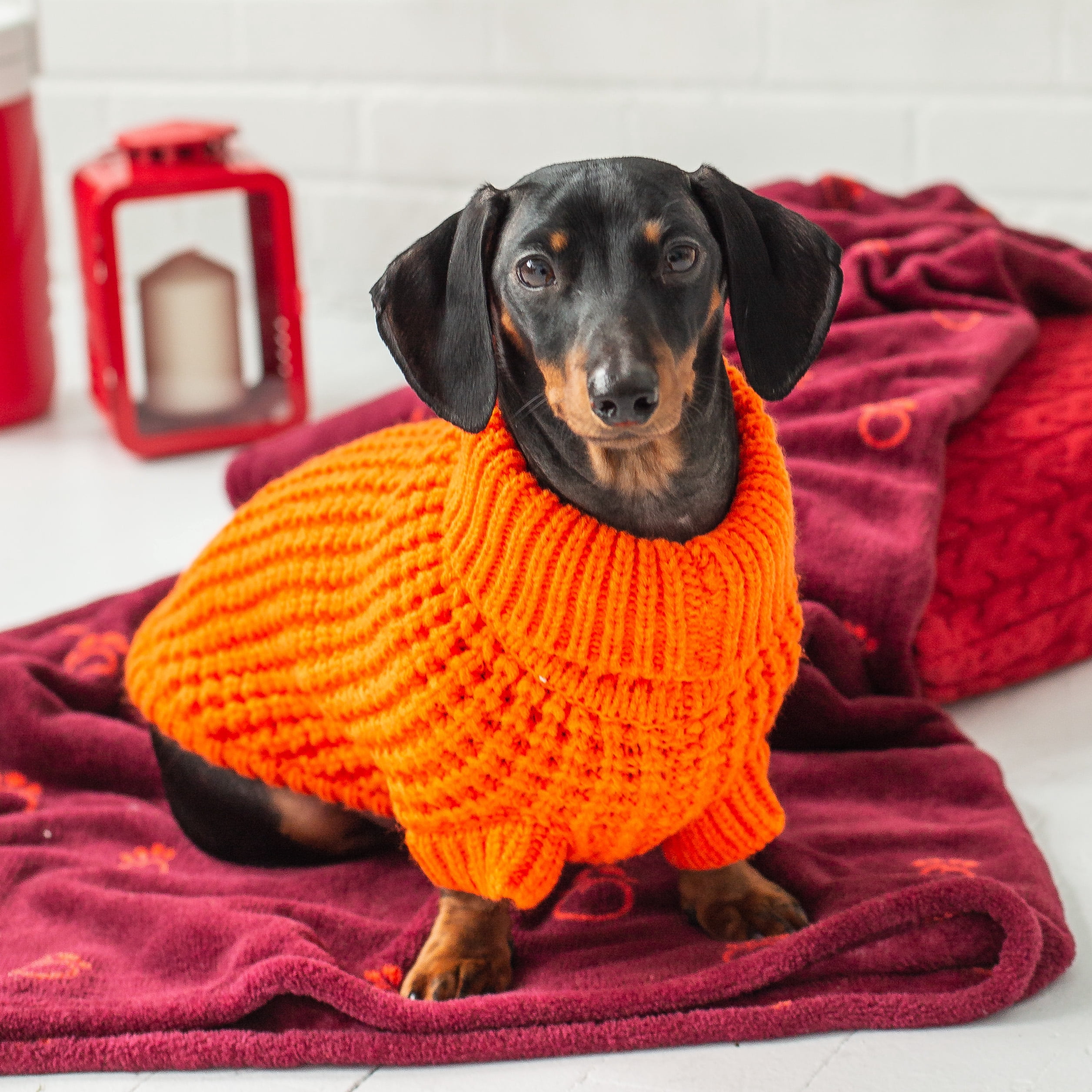 GF PET Scout Dog Sweater Apparel for Small Medium Large Dogs Pets, Orange, S