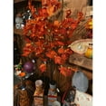 thumbnail image 5 of Indoor/Outdoor LED Maple Lighted Tree with 96Lights, 6'H, 5 of 5