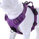 thumbnail image 1 of Arnés para perros JUXZH Truelove Soft Front Reflectante Morado L, 1 of 8