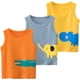 thumbnail image 3 of Conjunto de 3 camisetas sin mangas con diseño de dinosaurio para bebé niño, 3 of 4