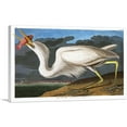 thumbnail image 1 of ARTCANVAS Great White Heron Canvas Art Print by John James Audubon - Size: 26" x 18" (1.50" Deep), 1 of 9