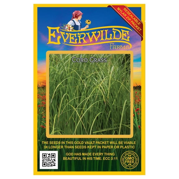 Everwilde Farms - 400 Cord Grass Native Grass Seeds - Gold Vault Jumbo Bulk Seed Packet