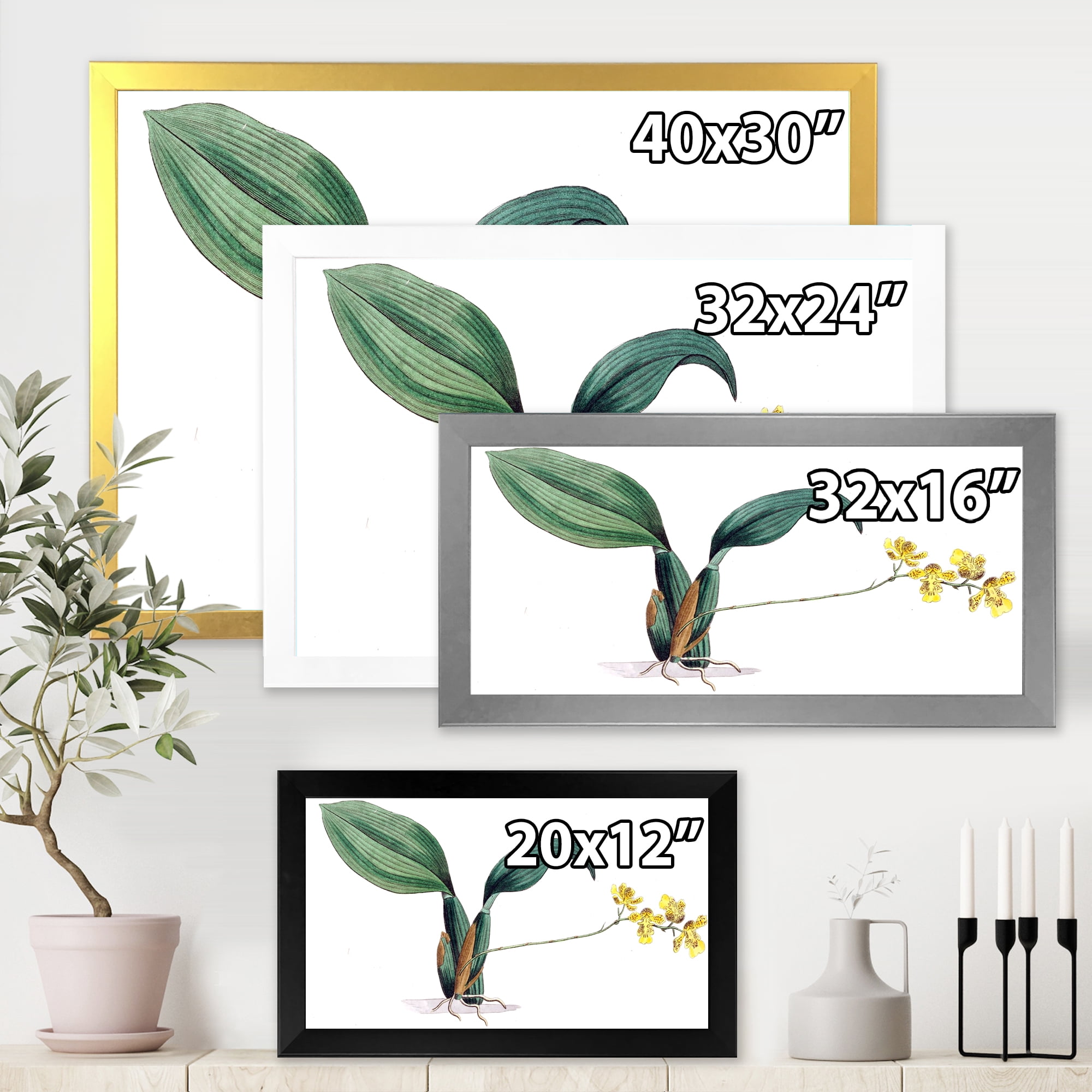 Designart 'Ancient Plant Life VI' Traditional Framed Art Print