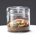 thumbnail image 5 of Micro-Landscape Glass Terrarium with Dew Collection Cover, Bonsai Vase Glass Microscopic Landscape Ecological Bottle S, 5 of 5