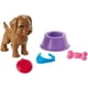 thumbnail image 1 of âBarbie Puppy Accessory Pack, 5 Themed Accessories for Barbie Doll Including Puppy Barbie -, 1 of 3