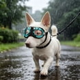 thumbnail image 5 of Goggles Eye Protecting Sunglass Windproof Personality Puppies Goggles For Small Media Flexible Strap Glasses For Small Dogs Accessories Belt Bags Dog Holder Dog Kennel Accessories Dog Wheelchair, 5 of 7