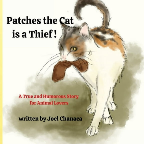 Patches The Cat is a Thief !, (Paperback)