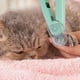 thumbnail image 5 of Cortauñas LED para perros y gatos, con lima de uñas y protección contra salpicaduras JM MX-0137395FYD, 5 of 5
