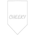 thumbnail image 1 of Cheeky Rhinestone Bandana White Small, 1 of 1