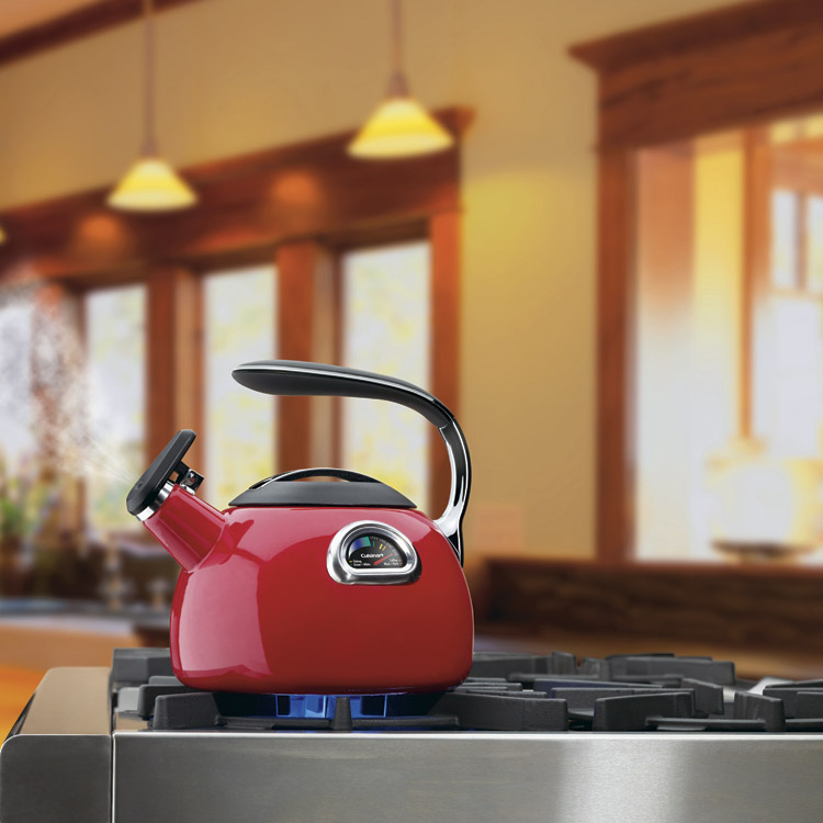 cuisinart pistachio kettle