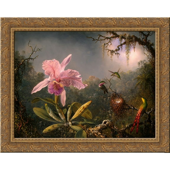 Cattleya Orchid and Three Hummingbirds 24x20 Gold Ornate Wood Framed Canvas Art by Martin Johnson Heade