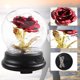 thumbnail image 2 of Cúpula de cristal Lámpara de rosas Flor para siempre Flor cálida Luz de noche Flores eternas Rosa co Irfora Lámpara de mesa, 2 of 7