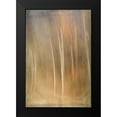thumbnail image 2 of Murdock, Ramona 17x24 Black Modern Framed Museum Art Print Titled - Ethereal Forest, 2 of 5