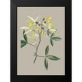 thumbnail image 2 of Cooke, E.W. 18x24 Black Modern Framed Museum Art Print Titled - Botanical Cabinet VI, 2 of 5