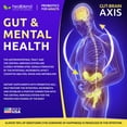 thumbnail image 5 of Healblend Digestive Health Probiotics 11.5 Billion CFU - Acidophilus Probiotic Supports Immune, Gut Health and Flush Out Bad Bacteria for Women & Men - 60 Capsules (3 Pack), 5 of 10