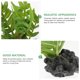 thumbnail image 3 of TABLZONE De Para Habitat De Reptiles Con Base Pesada Y Materiales Duraderos, 3 of 6