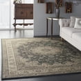 thumbnail image 2 of Nourison Living Treasures 7'6" x 9'6" Grey/Ivory Persian Indoor Rug, 2 of 9