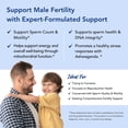 thumbnail image 5 of Premom Sperm Fortify Male Fertility Supplement, KSM-66 Ashwagandha & CoQ10 Blend, 60 Capsules, 5 of 6
