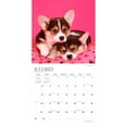 thumbnail image 3 of Adorable Puppies | 2024 12x24" 18 Month Wall Calendar | Jul '23 - Dec '24 | Plato, 3 of 8