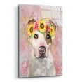 thumbnail image 2 of Epic Art 'Flower Crown Pit Bull 7' by Furbaby Affiliates, Acrylic Glass Wall Art, 24"x36", 2 of 8
