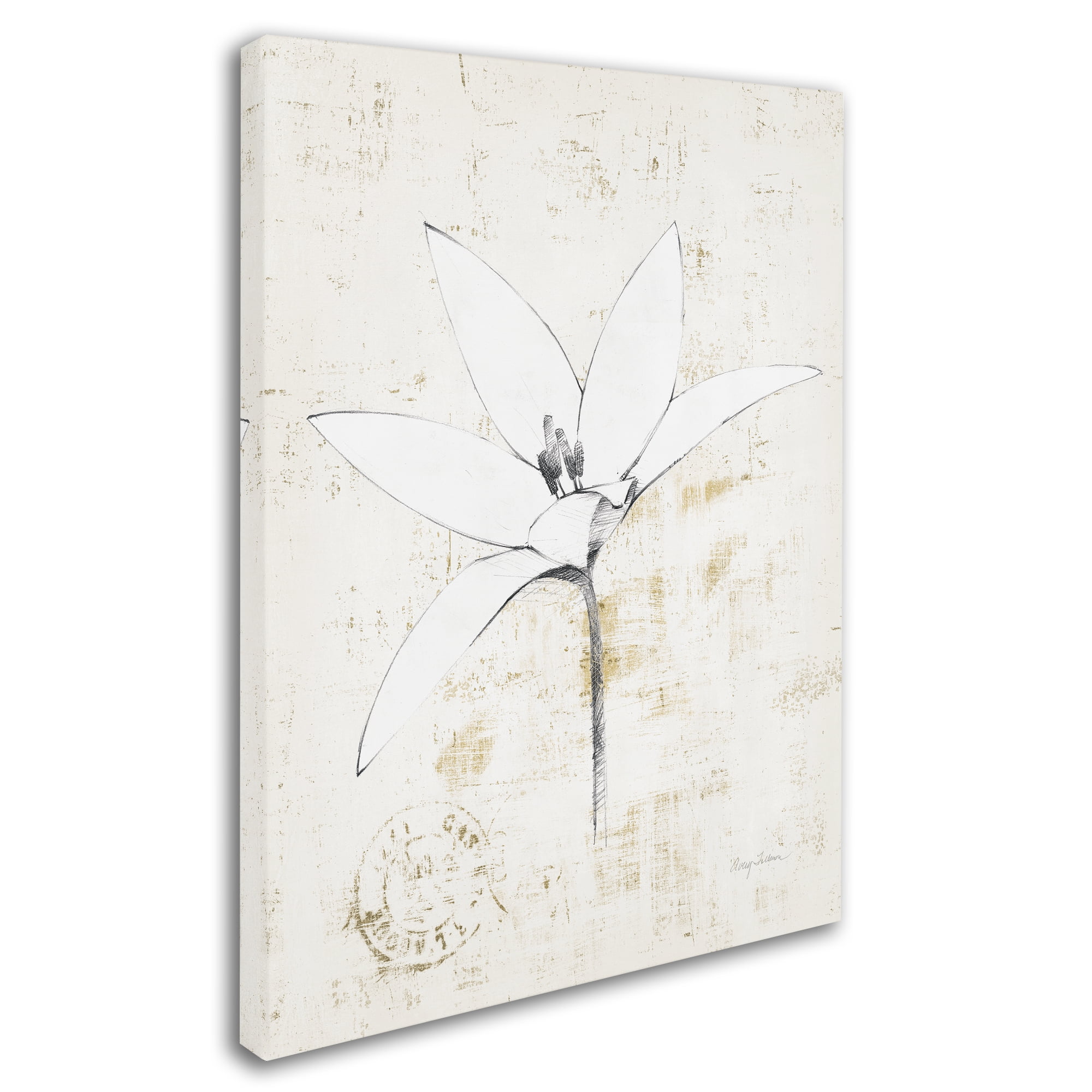 Trademark Fine Art 'Pencil Floral XII Gold' Canvas Art by Avery Tillmon