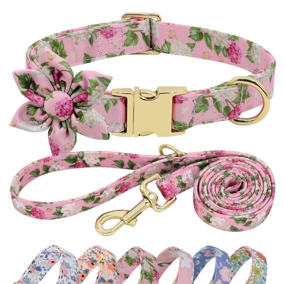 Set de collar y correa para perros Beirui Cute Girl para perros Pink L