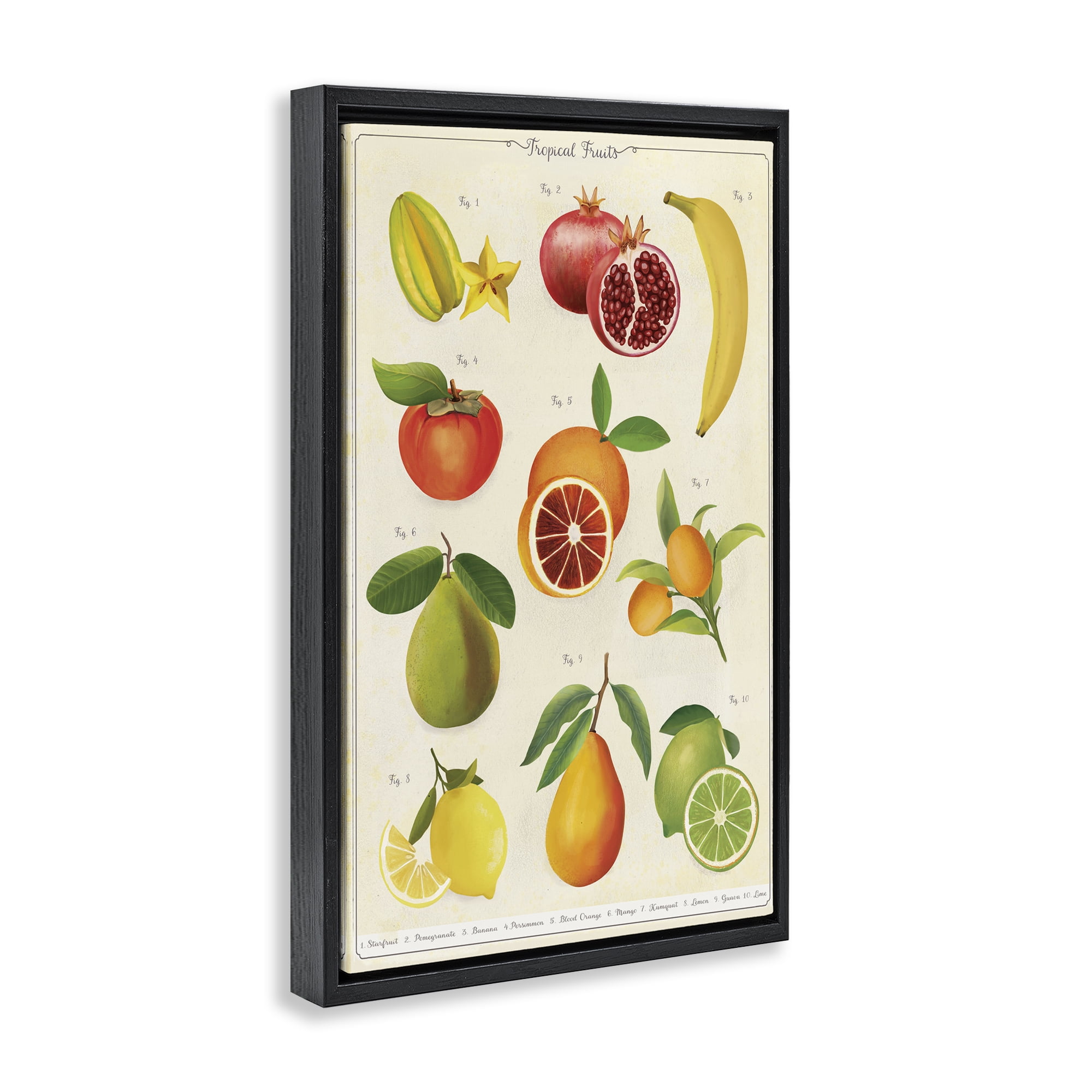 Stupell Industries Vintage Tropical Fruit Studies Black Framed Floater Canvas Wall Art, design by Diane Neukirch
