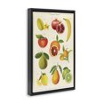 thumbnail image 2 of Stupell Industries Victorian Vintage Tropical Fruit Studies Black Floating Frame Canvas Art, 17 x 25, by Diane Neukirch, 2 of 8