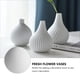 thumbnail image 2 of EeaseMX Juego de 3 jarrones decorativos modernos (blancos), 2 of 8