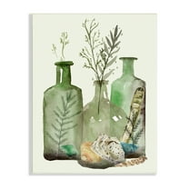 Stupell Industries Fern Plants Nautical Seashells Green Jug Still Life, 13 x 19, Design by Melissa Wang 