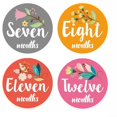 thumbnail image 4 of Baby Milestone Stickers Floral Month Sticker for Infant Use 12Pcs Set, 4 of 5
